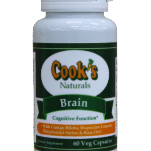 Brain
