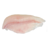 Catfish
