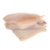 Flounder