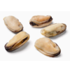 Mussels