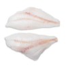 Orange Roughy