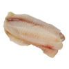 Tilapia