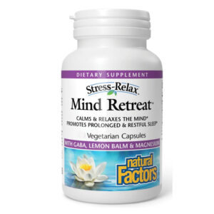 Mind Retreat 10