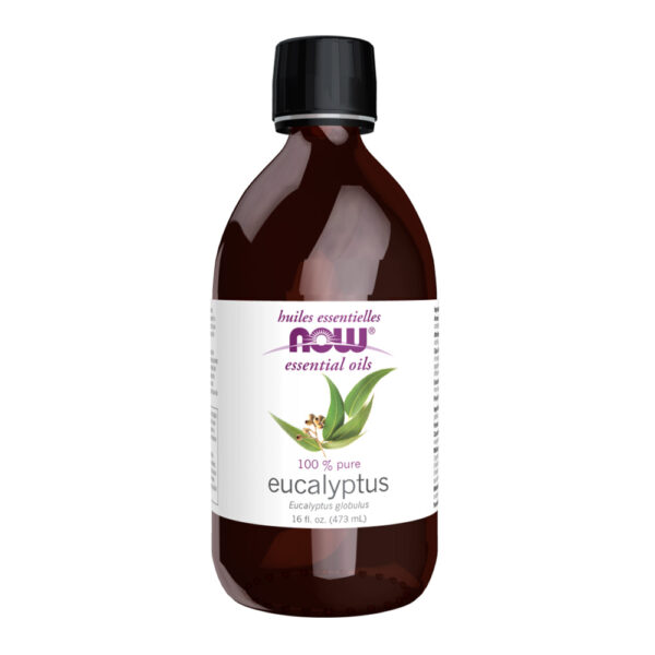 Eucalyptus Globulus Oil 16 fl. oz.