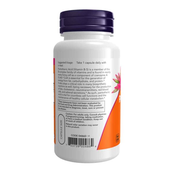 Pantothenic Acid 500 mg 100 Veg Capsules - Image 3